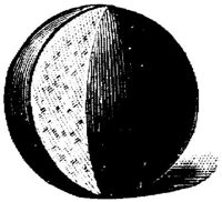 EAC046II.JPG