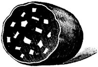 EAC046BB.JPG