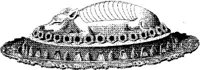 FDD098E.JPG