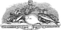 FDD086M.JPG