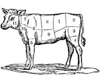 FDD085I.JPG