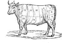 FDD085F.JPG