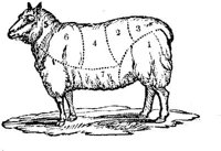 FDD085E.JPG