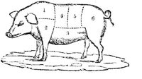 FDD085C.JPG