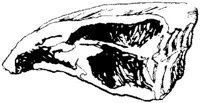 FDD084U.JPG