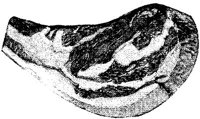 FDD084Q.JPG