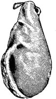 FDD084K.JPG