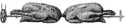FDD083G.JPG