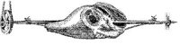 FDD083E.JPG
