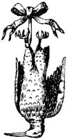 EAC056I.JPG