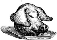 EAC046M.JPG