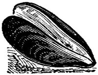 EAC046LL.JPG