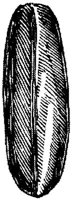 EAC046B.JPG
