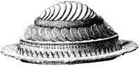 FDD098D.JPG