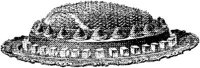 FDD098C.JPG