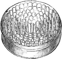 FDD094A.JPG