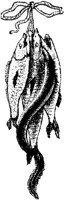 EAC049G.JPG