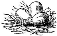 EAC046TT.JPG