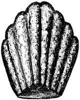 EAC046R.JPG