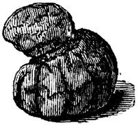 EAC046G.JPG