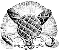 EAC046C.JPG