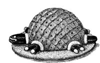 EAC043B.JPG