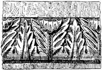 SOR141A.JPG
