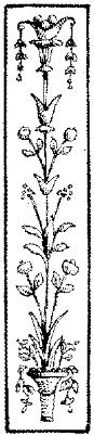 SOR094B.JPG