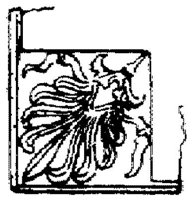 SOR051G.JPG