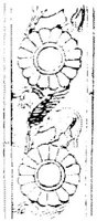 SOR026F.JPG