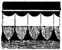 SOR018G.JPG