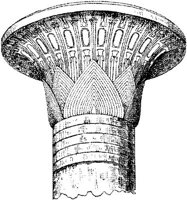 SOR016C.JPG