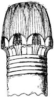 SOR015C.JPG