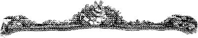 CTP253A.JPG