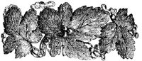 CTP244E.JPG