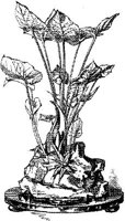 CTP158F.JPG