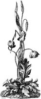 CTP106A.JPG
