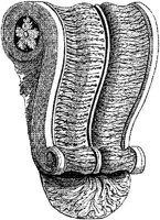 CTP061A.JPG