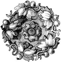 CTP029B.JPG