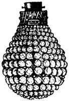EAC156C.JPG