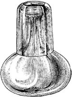 FDD124C.JPG
