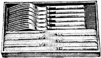 FDD082D.JPG