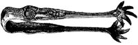FDD081H.JPG
