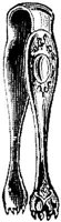 EAC044W.JPG