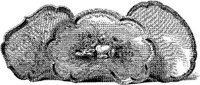 CTP067A.JPG