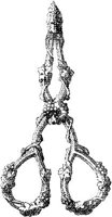 CTP027F.JPG