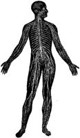 MEN063D.JPG
