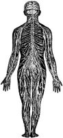 MEN063A.JPG