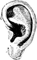 LAC057F.JPG