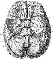 HPN134AG.JPG